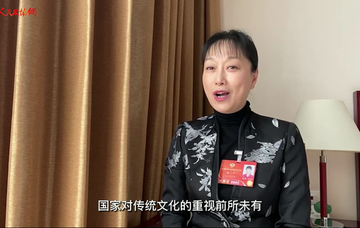 【委员出镜】国风来袭！看看委员们都咋追？