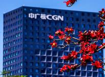 践行习近平法治思想，坚持运用法律语言，将股东管控意志依法合规延伸至境外，确保企业海外资产安全