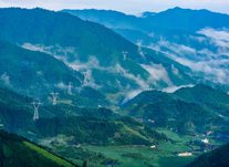 “业”“法”融合 护航企业行稳致远