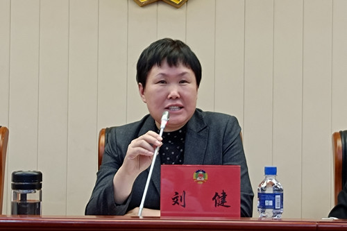 2. 刘健副主席讲话