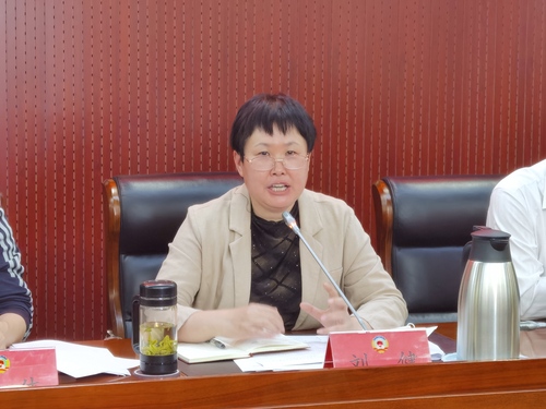 东城区政协党组副书记、副主席刘健汇报东城区政协贯彻落实中央、市委政协工作会议精神的进展情况