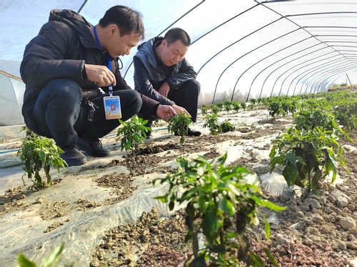 GetAttachment (1) GetAttachment (1)