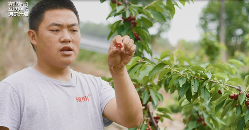 微信图片_20220715095322