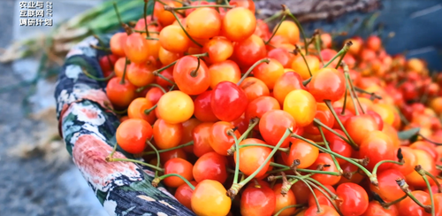 微信图片_20220715095457