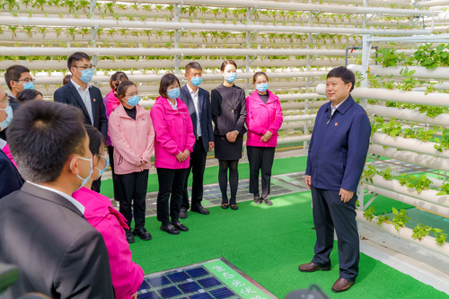 (二十大代表在基层)王传喜:走在乡村振兴(1487429)-20221114084814 (二十大代表在基层)王传喜:走在乡村振兴(1487429)-20221114084814