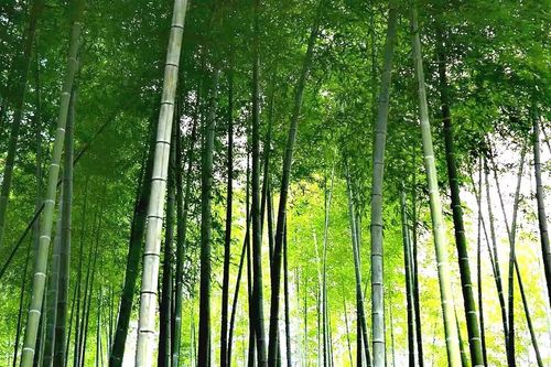 微信图片_20221126205647 微信图片_20221126205647