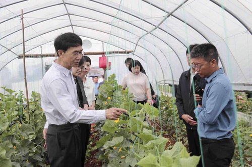 1:云南省政协调研组在宣威市调研(1506199)-20221128163050 1:云南省政协调研组在宣威市调研(1506199)-20221128163050