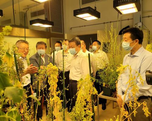 调研(1524253)-20221201142112 调研(1524253)-20221201142112