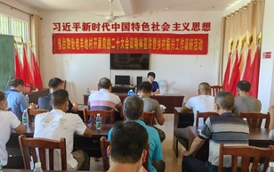 刘芳颖：把服务联络台胞的工作做细做实