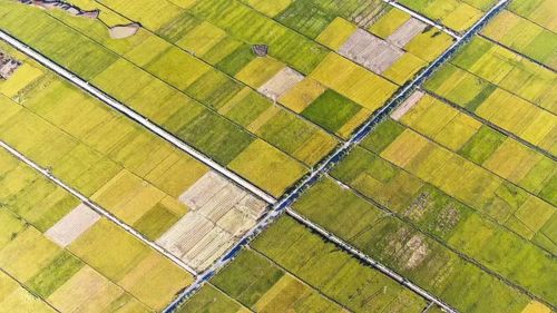 微信图片_20230105051351 微信图片_20230105051351