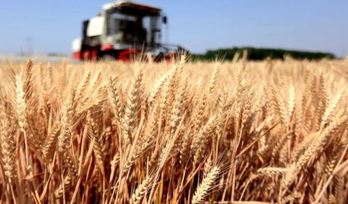 微信图片_20230105051343 微信图片_20230105051343