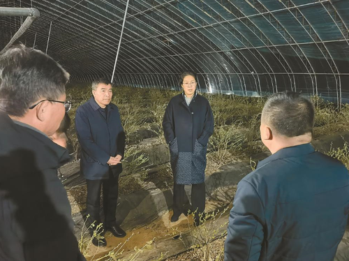 微信截图_20230309103537 微信截图_20230309103537