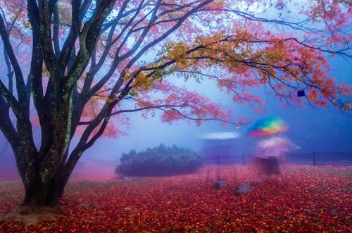 360截图20231019175438547