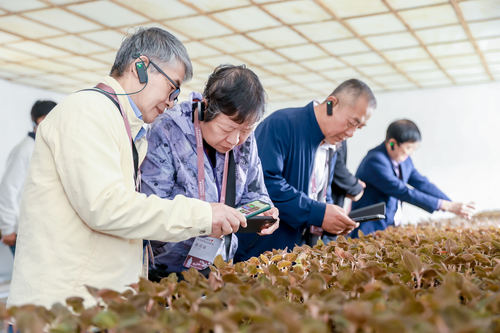 微信图片_20231122135702