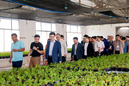 微信图片_20231122135707