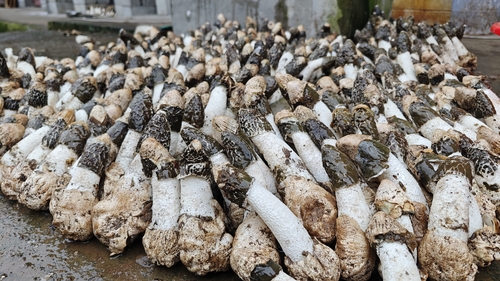 微信图片_20231212161852 微信图片_20231212161852