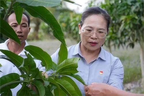 11版头条配图(4275501)-20240409095028 11版头条配图(4275501)-20240409095028