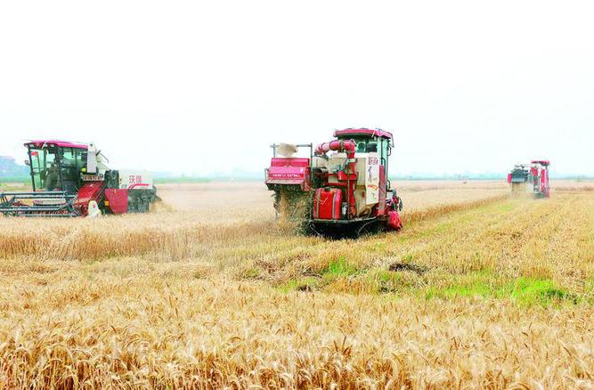 金色麦浪间科技显“神通”