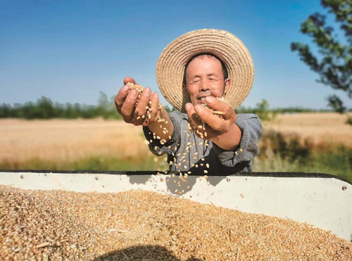 微信截图_20240702152132 微信截图_20240702152132