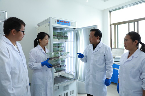 (0703配稿)陈乔保:注足强“芯”剂 (4874792)-20240703100342 (0703配稿)陈乔保:注足强“芯”剂 (4874792)-20240703100342