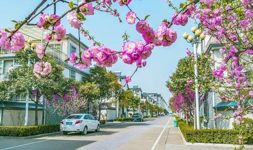 头条配图(4915615)-20240709101706