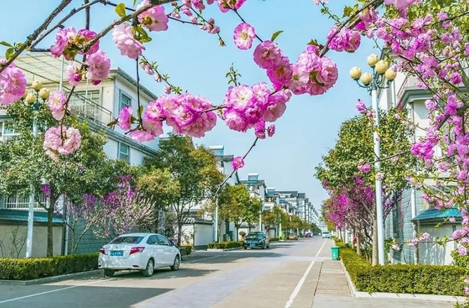 好的农村人居环境什么样？委员们这样说……