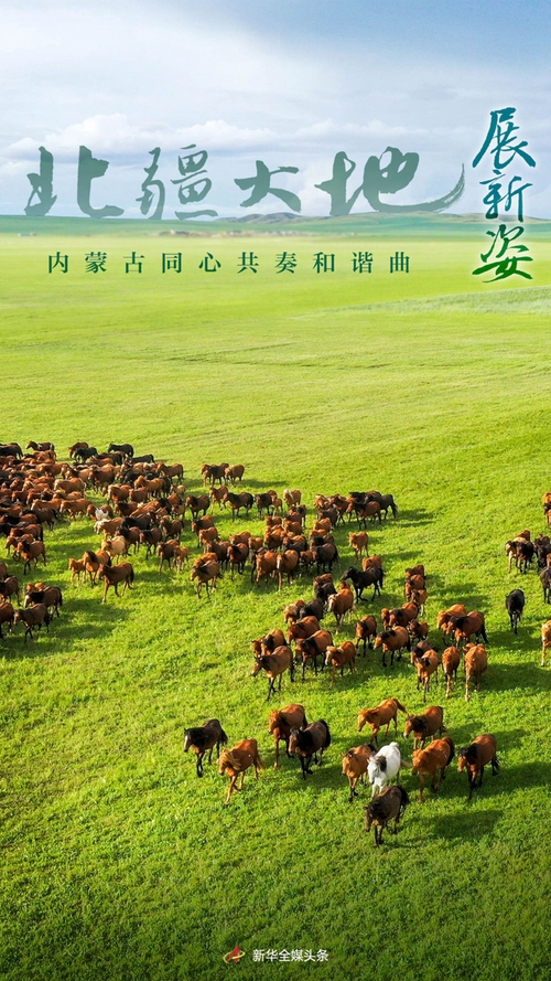 2024070900e879deca6b42d29f548aafe4d11479_2024070981ce9c07852f44bb9d87f4dbed735599 2024070900e879deca6b42d29f548aafe4d11479_2024070981ce9c07852f44bb9d87f4dbed735599