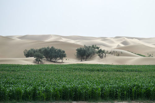 8884879f350047 8884879f350047