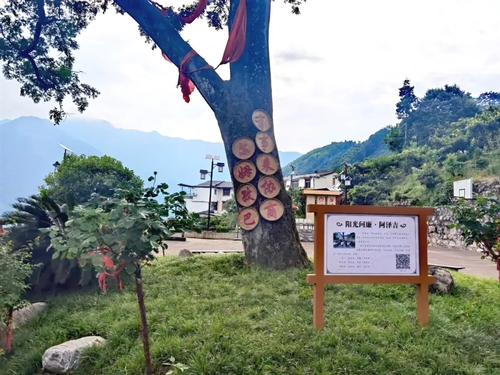 55550.webp 55550.webp