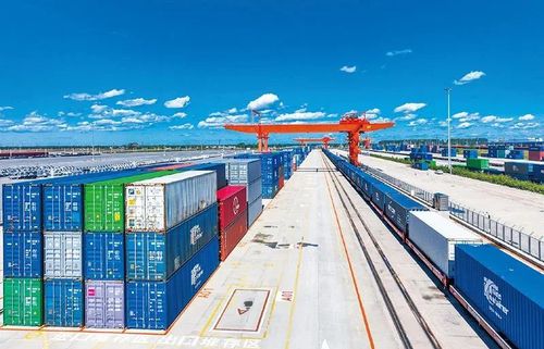 微信图片_20240716170252