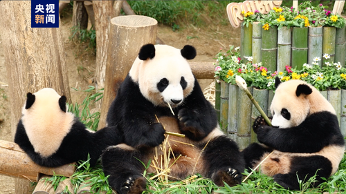 微信图片_20240719122944 微信图片_20240719122944