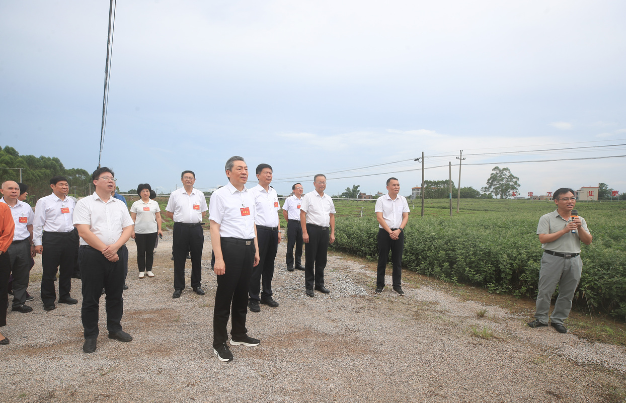 广西壮族自治区政协常委视察团围绕“深化区域合作，推动广西中医药产业高质量发展”开展监督性视察 