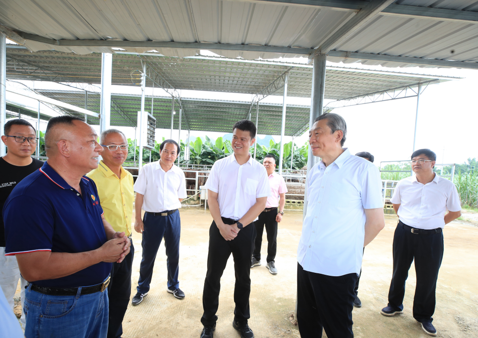  广西壮族自治区政协主席孙大伟围绕巩固拓展脱贫攻坚成果同乡村振兴有效衔接工作开展调研