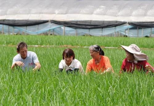 (8.7-上1)一粒粒米带来的幸福生活((5113013)-20240807094450 (8.7-上1)一粒粒米带来的幸福生活((5113013)-20240807094450