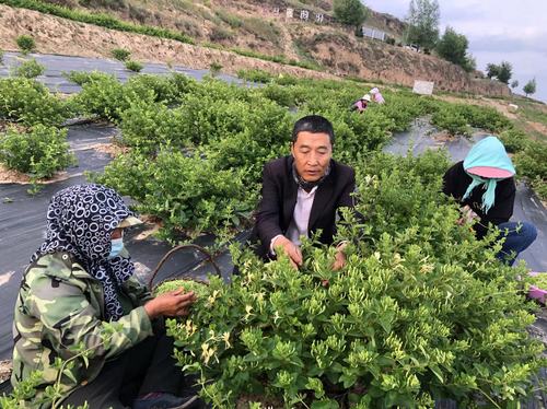 微信图片_20240806144039(5114023)-20240807093507