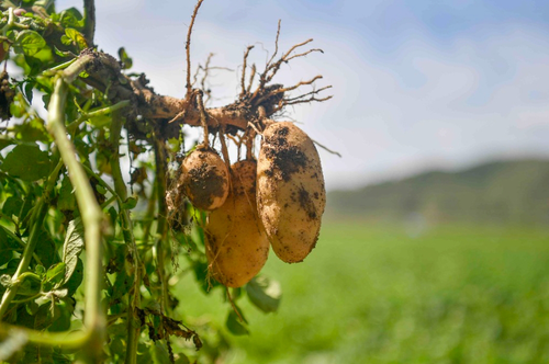 微信截图_20240822141020 微信截图_20240822141020