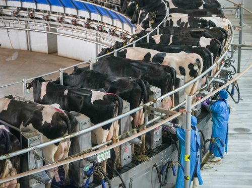 微信截图_20240822141953 微信截图_20240822141953