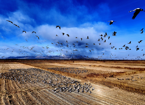 微信截图_20240822142002 微信截图_20240822142002