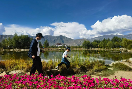 铸牢共同体 中华一家亲｜雪域高原焕新貌：在海拔4000米的山上种树，有多难？