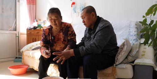 微信截图_20240918164336