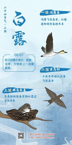 微信图片_20240920153204 微信图片_20240920153204