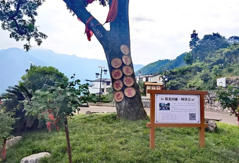 理响中国·讲好“中国式商量”故事丨“尔姆孜巴”，村民们纷纷点赞！