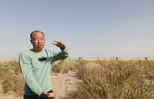 2536947180459746680 2536947180459746680