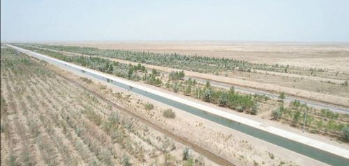 18119369993858843590 18119369993858843590