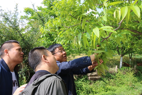 (1011)“核桃委员”彭继强(分离图)(5485869)-20241011151129 (1011)“核桃委员”彭继强(分离图)(5485869)-20241011151129