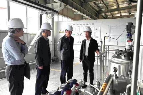 360截图20241023184415098