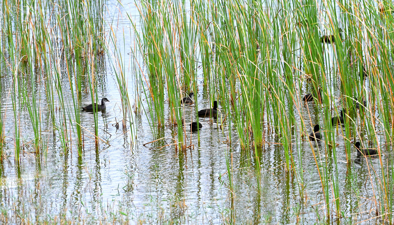 微信图片_20241029101105 微信图片_20241029101105