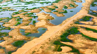 沙漠建鱼塘  农牧民养殖忙