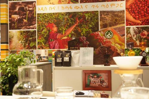 6jTt9fHxEMbia2Gu 6jTt9fHxEMbia2Gu