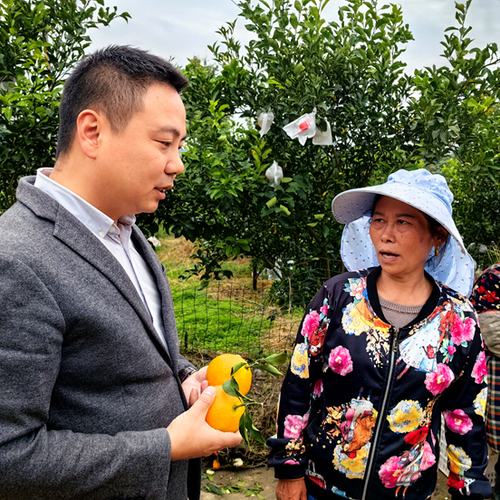 微信图片_20241105153612 微信图片_20241105153612